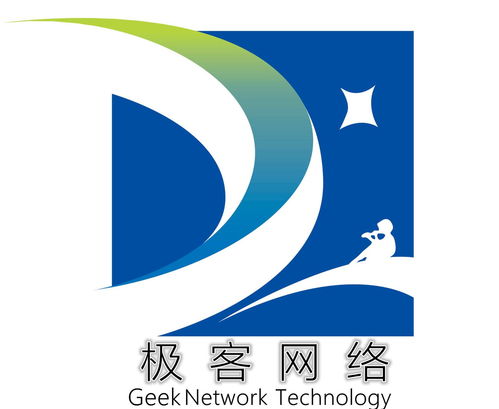 福建極客網絡科技 技術驅動創新，數字賦能未來